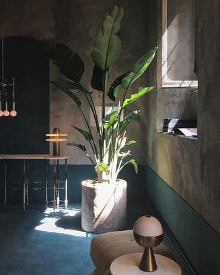 Alabaster Comet Table Lamp Arkstarhome