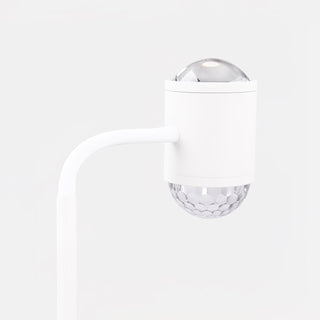 Ambient Floor Lamp Arkstarhome