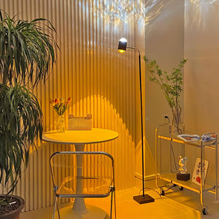 Ambient Floor Lamp Arkstarhome
