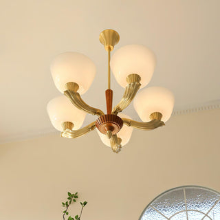 Ascher Chandelier Arkstarhome