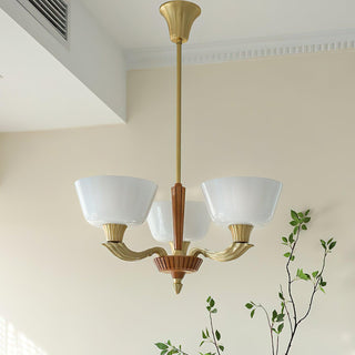 Ascher Chandelier Arkstarhome