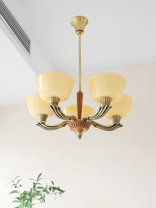 Ascher Chandelier Arkstarhome