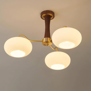 Brass Wooden Persimmon Chandelier Arkstarhome