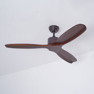 Caesar Kissel 52" Ceiling Fan Arkstarhome