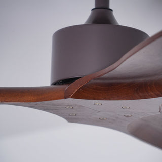 Caesar Kissel 52" Ceiling Fan Arkstarhome