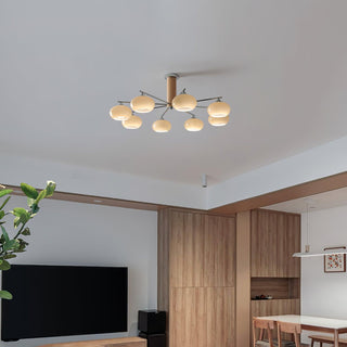 Elliptical Persimmon Chandelier Arkstarhome