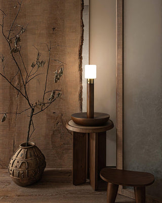 Fire Stick Table Lamp Arkstarhome