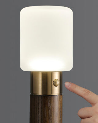 Fire Stick Table Lamp Arkstarhome