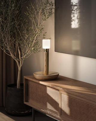 Fire Stick Table Lamp Arkstarhome