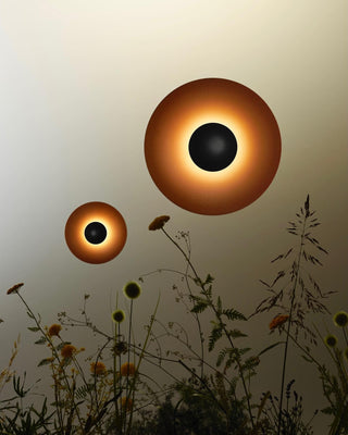 Simplicity Glow Wall Light Arkstarhome