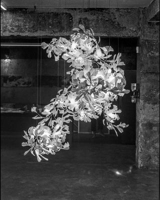 Gingko Chandelier F Arkstarhome