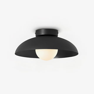 Harper Glass Dome Ceiling Lamp Arkstarhome