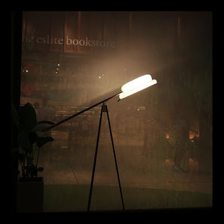 Heart Wing Tripod Floor Lamp Arkstarhome