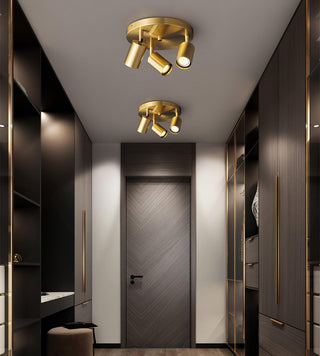 Hugo Hotspot Ceiling Light Arkstarhome