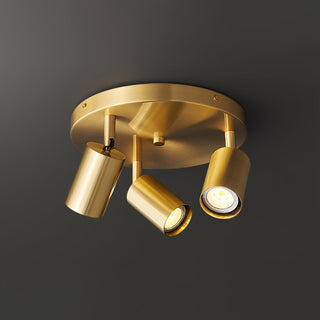 Hugo Hotspot Ceiling Light Arkstarhome