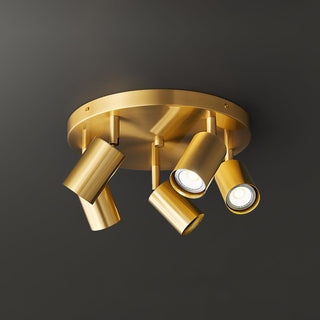 Hugo Hotspot Ceiling Light Arkstarhome