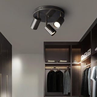 Hugo Hotspot Ceiling Light Arkstarhome
