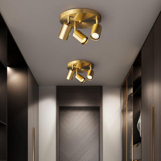 Hugo Hotspot Ceiling Light Arkstarhome