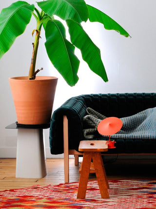 Ile Table Lamp Arkstarhome