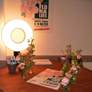 Iris Table Lamp Arkstarhome