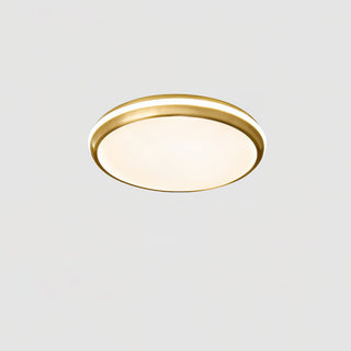 Jameson Ceiling Light Arkstarhome