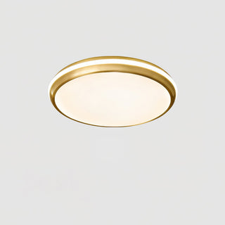 Jameson Ceiling Light Arkstarhome