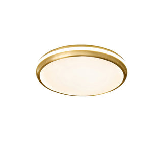 Jameson Ceiling Light Arkstarhome