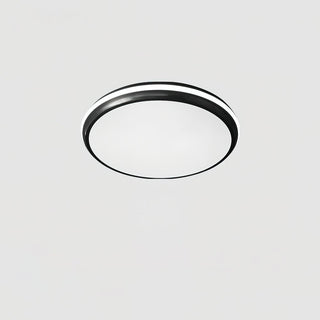 Jameson Ceiling Light Arkstarhome