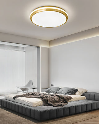 Jameson Ceiling Light Arkstarhome