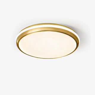 Jameson Ceiling Light Arkstarhome