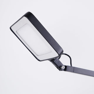 Edge Table Lamp Arkstarhome