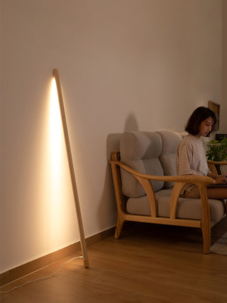 Line Assist Ambience Floor Lamp Arkstarhome