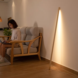 Line Assist Ambience Floor Lamp Arkstarhome
