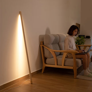Line Assist Ambience Floor Lamp Arkstarhome