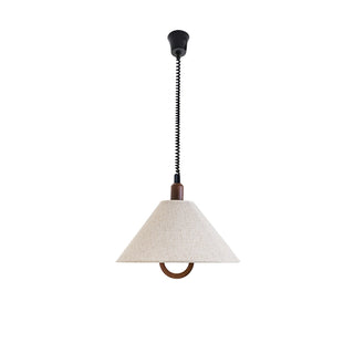 Loopeds Pendant Lamp Arkstarhome