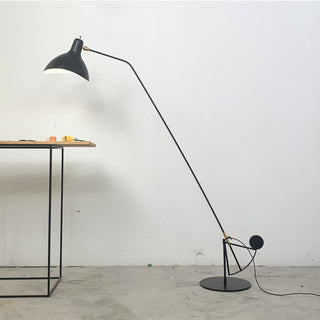 Mantis Arm Floor Lamp Arkstarhome