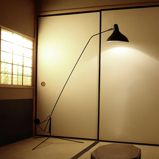 Mantis Arm Floor Lamp Arkstarhome