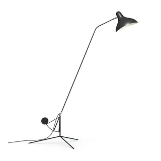 Mantis Arm Floor Lamp Arkstarhome