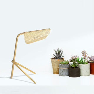 Mediterranea Table Lamp Arkstarhome