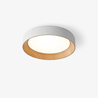 Oreen Ceiling Lamp Arkstarhome