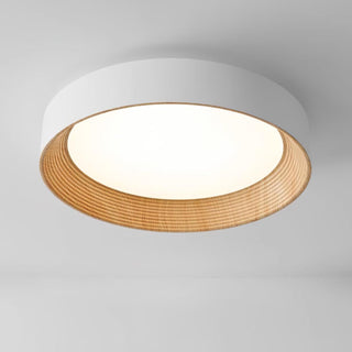 Oreen Ceiling Lamp Arkstarhome