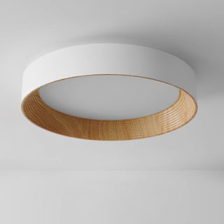 Oreen Ceiling Lamp Arkstarhome