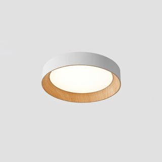 Oreen Ceiling Lamp Arkstarhome