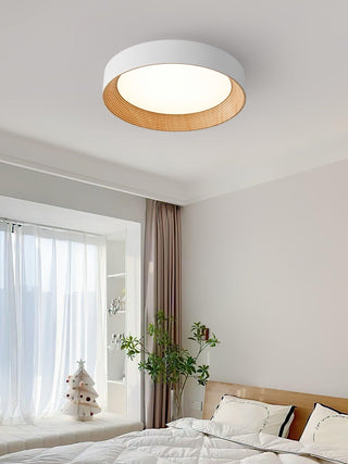 Oreen Ceiling Lamp Arkstarhome