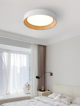 Oreen Ceiling Lamp Arkstarhome