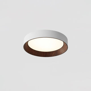 Oreen Ceiling Lamp Arkstarhome