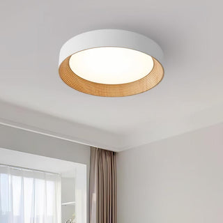 Oreen Ceiling Lamp Arkstarhome