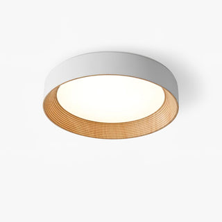 Oreen Ceiling Lamp Arkstarhome