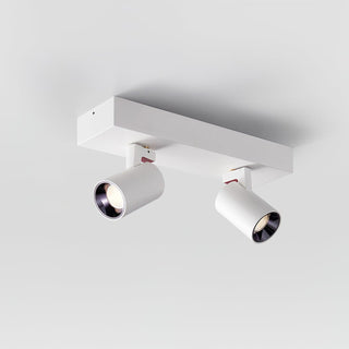 POG Double Linear Spotlight Arkstarhome
