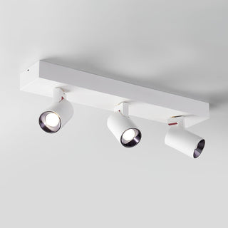 POG Double Linear Spotlight Arkstarhome